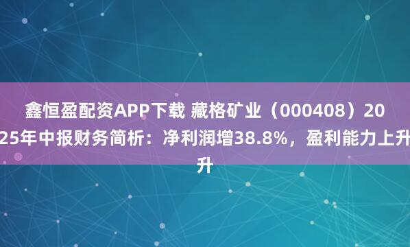 鑫恒盈配资APP下载 藏格矿业（000408）2025年中报财务简析：净利润增38.8%，盈利能力上升