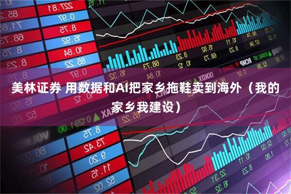 美林证券 用数据和AI把家乡拖鞋卖到海外（我的家乡我建设）
